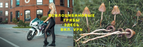 МДМА Новозыбков