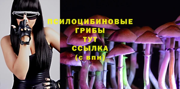 МДМА Новозыбков