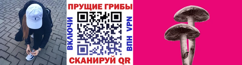 купить наркоту  Сертолово  hydra онион  Галлюциногенные грибы мицелий 