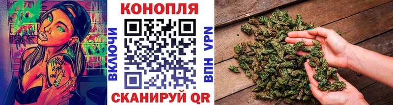 Шишки марихуана план  мега онион  Сертолово 